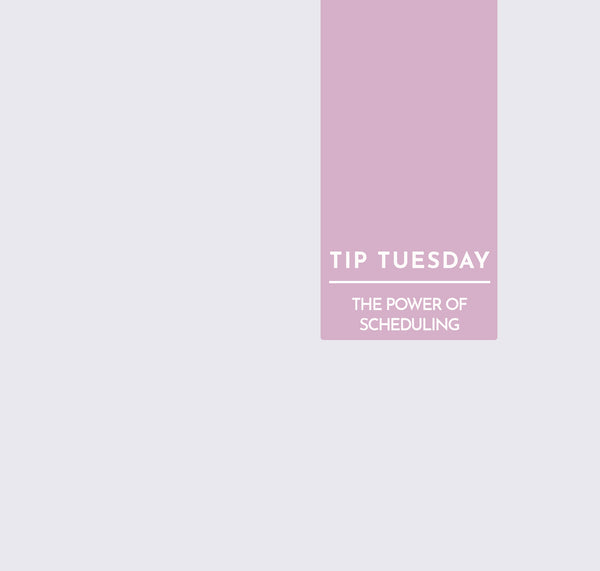 Tip Tuesday: The Power of Scheduling